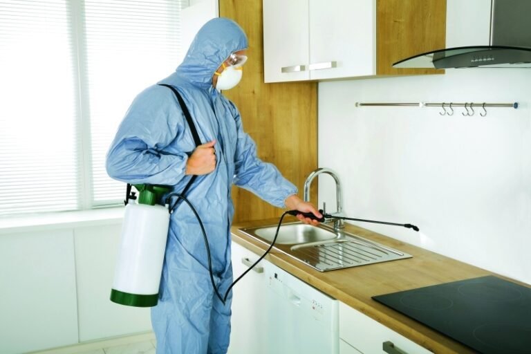 شركة مكافحة حشرات في الشارقة