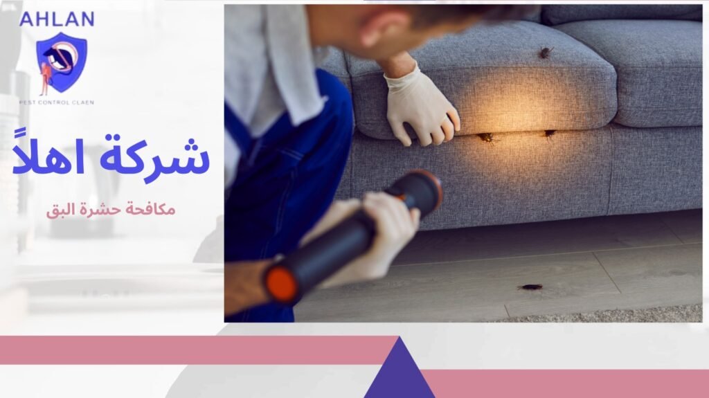 هل يعود البق بعد الرش