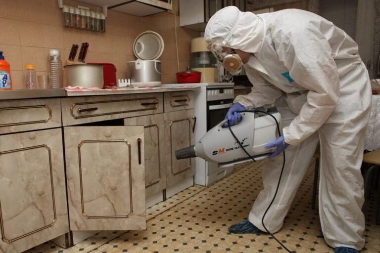 خدمات مكافحة الحشرات