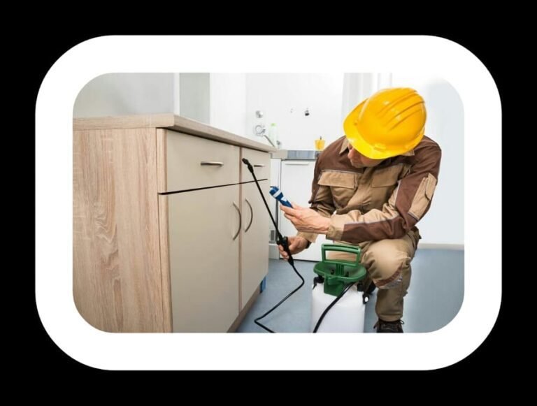 شركات مكافحة الحشرات في مصفح