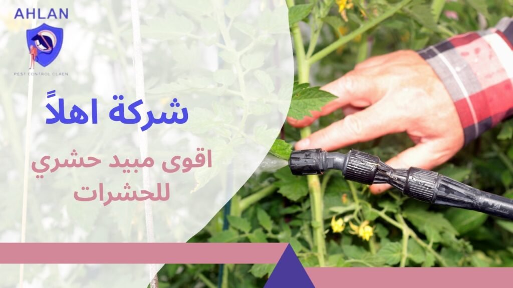 اقوى مبيد حشري للحشرات