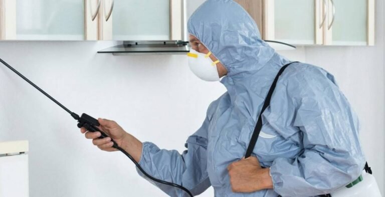 شركات رش الحشرات في دبي