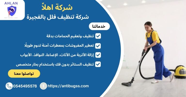 شركة تنظيف فلل بالفجيرة