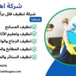 شركة تنظيف فلل برأس الخيمة
