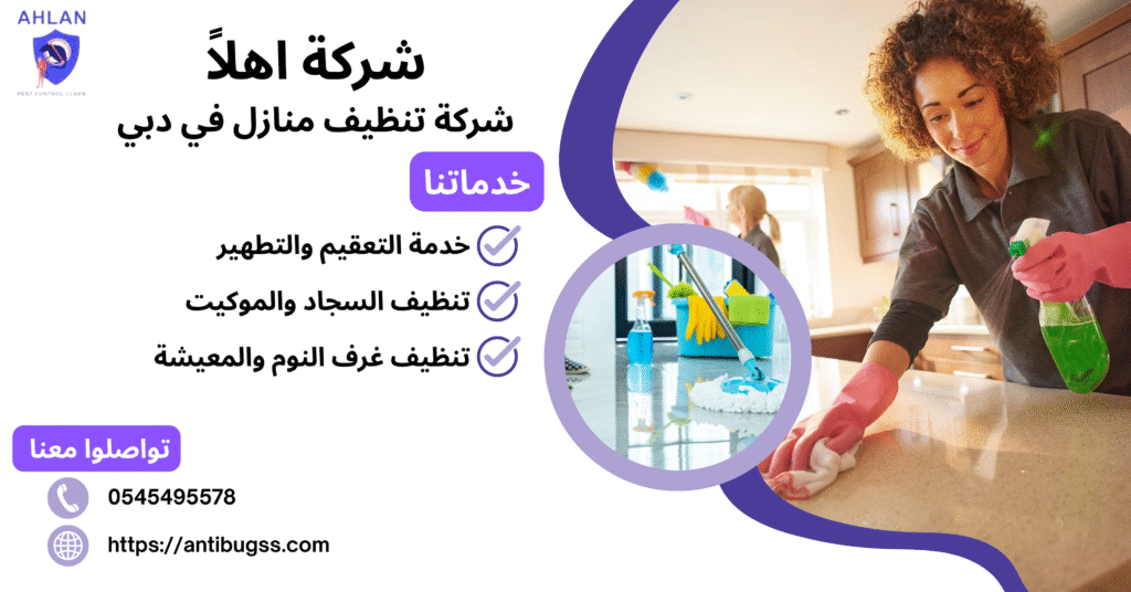 شركة تنظيف منازل في دبي