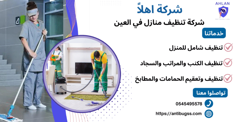 شركة تنظيف منازل في العين