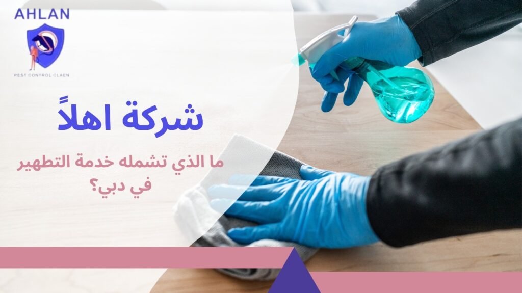 تنظيف منازل في دبي