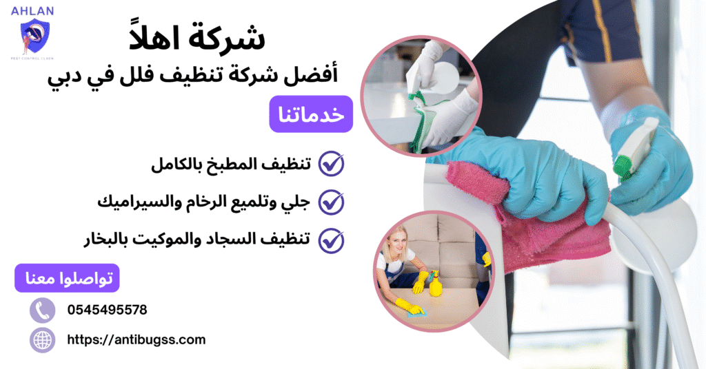 أفضل شركة تنظيف فلل في دبي