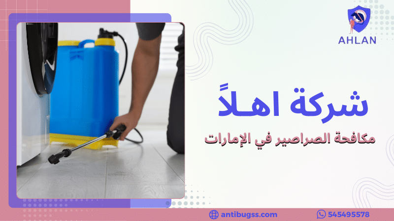 مكافحة الصراصير في الإمارات
