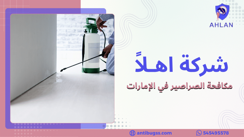 مكافحة الصراصير في الإمارات