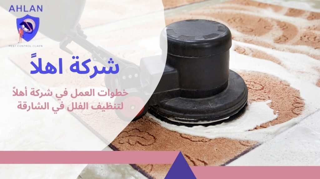 تنظيف فلل في الشارقة