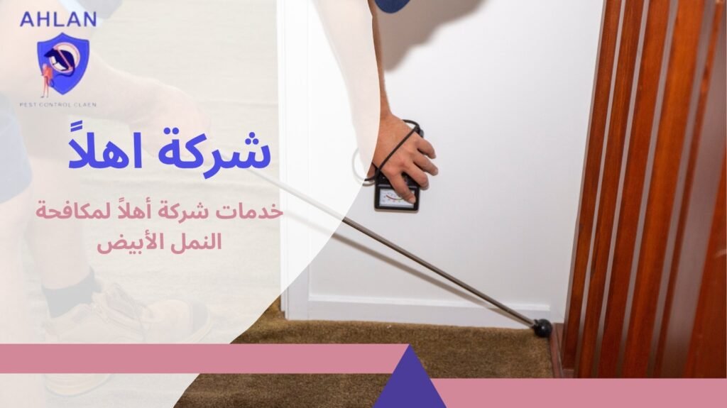مكافحة النمل الأبيض