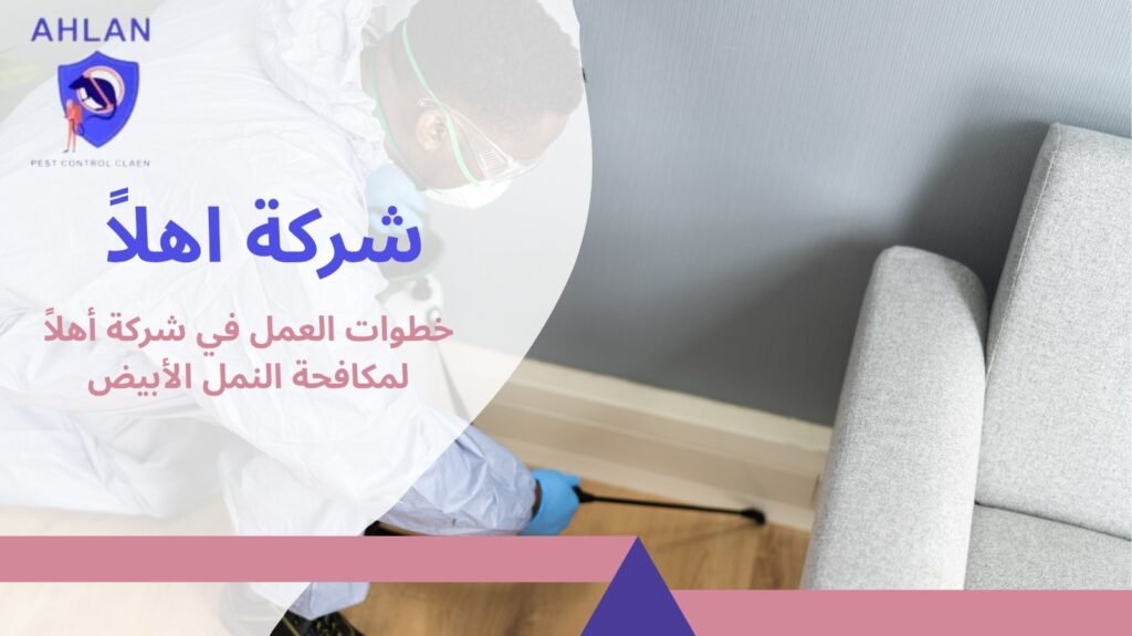 مكافحة النمل الأبيض