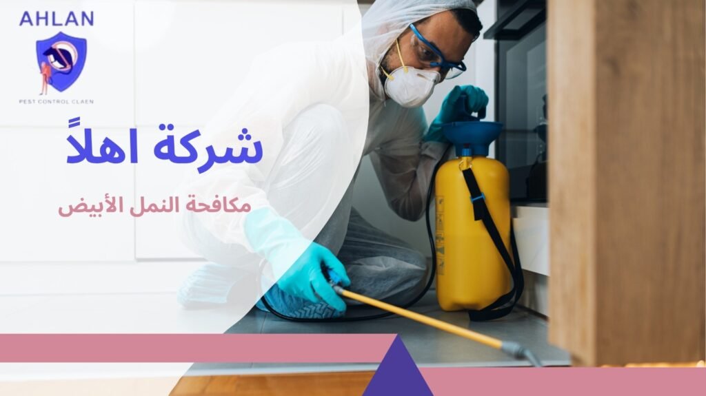 مكافحة النمل الأبيض