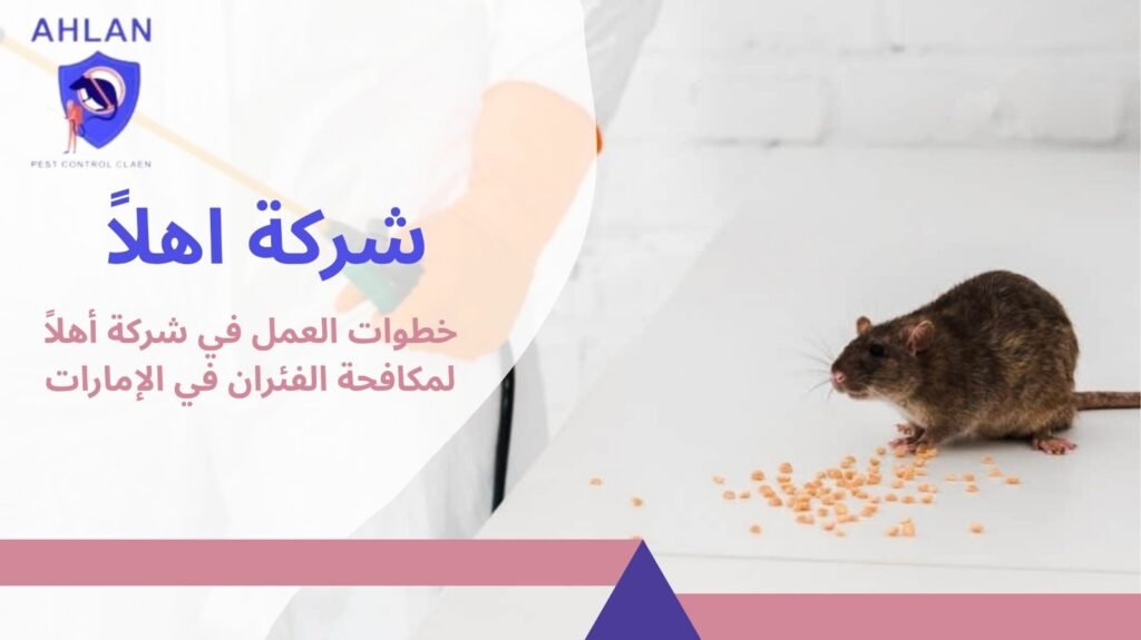 مكافحة الفئران في الإمارات