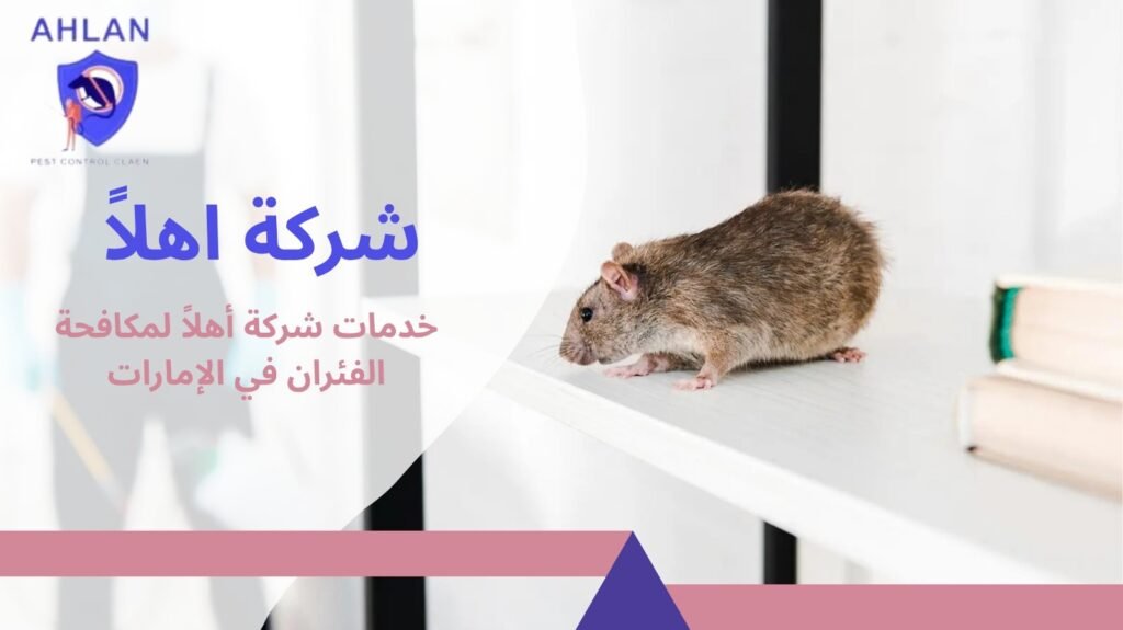 مكافحة الفئران في الإمارات