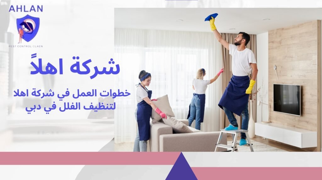 تنظيف فلل في دبي