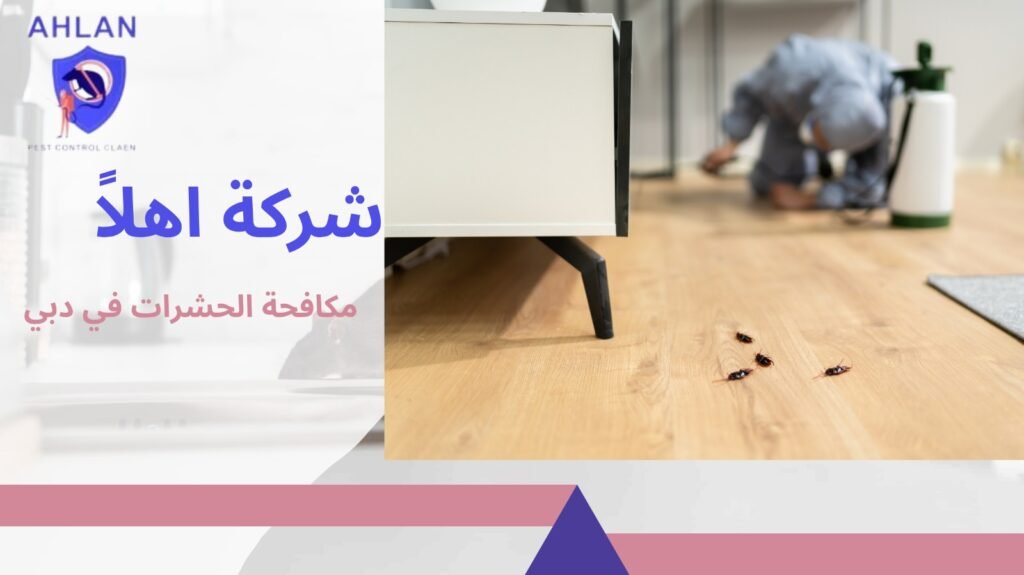 مكافحة الحشرات في دبي