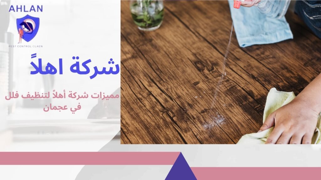 شركة تنظيف فلل في عجمان