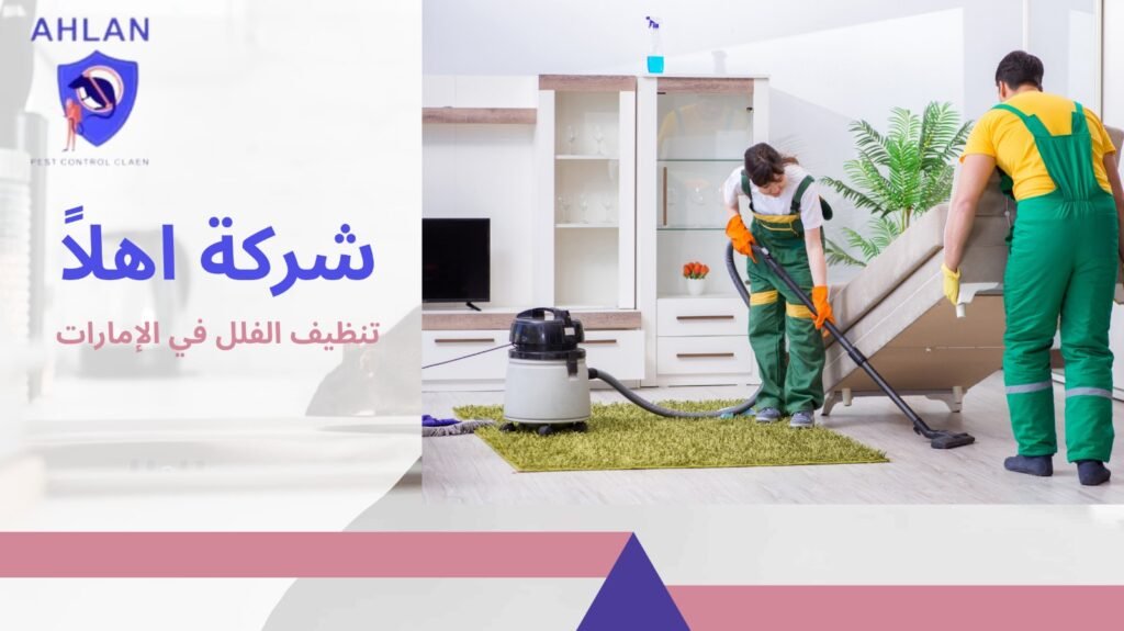 تنظيف الفلل في الإمارات