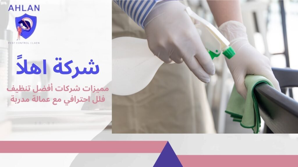 تنظيف فلل احترافي