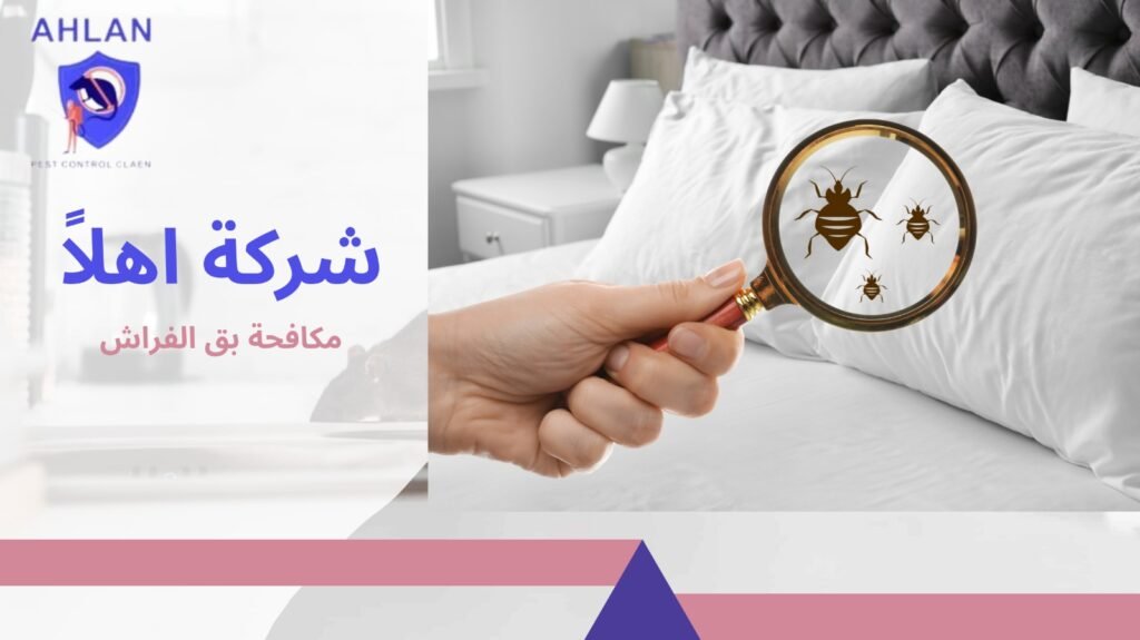 مكافحة بق الفراش