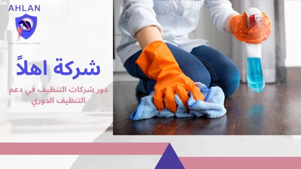 تنظيف منازل دورية