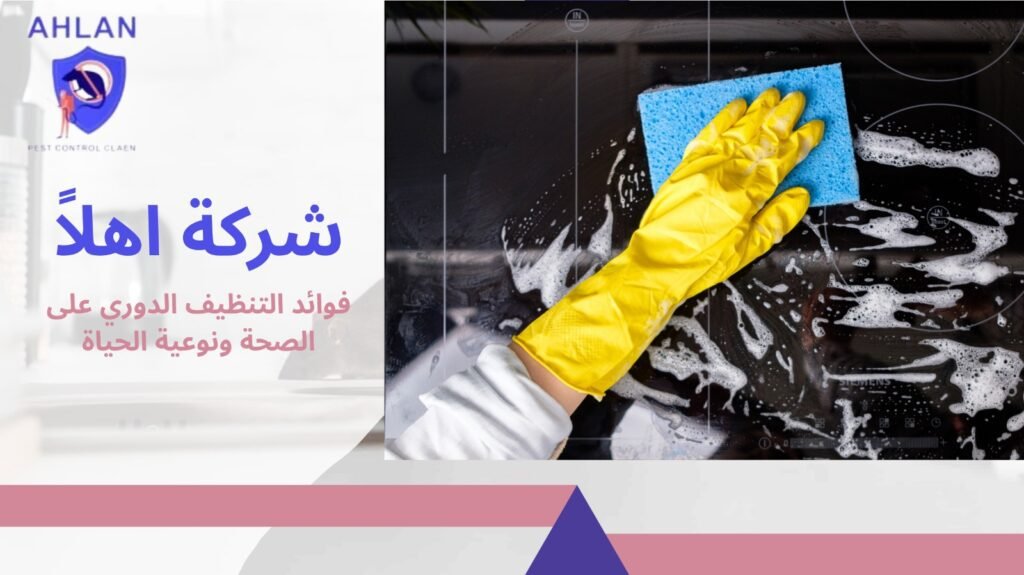 تنظيف منازل دورية