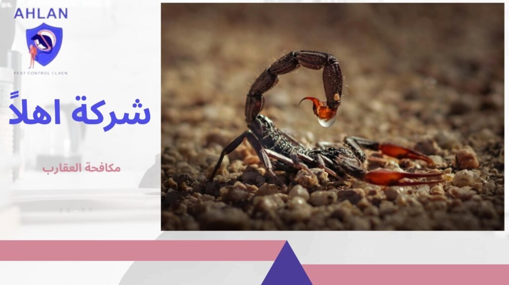 مكافحة العقارب