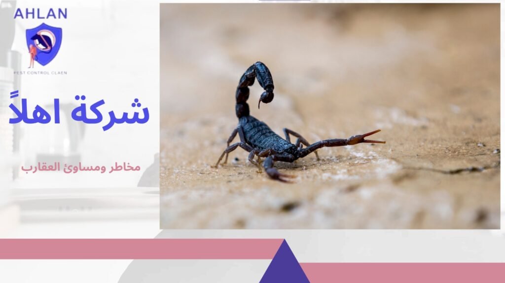 مكافحة العقارب