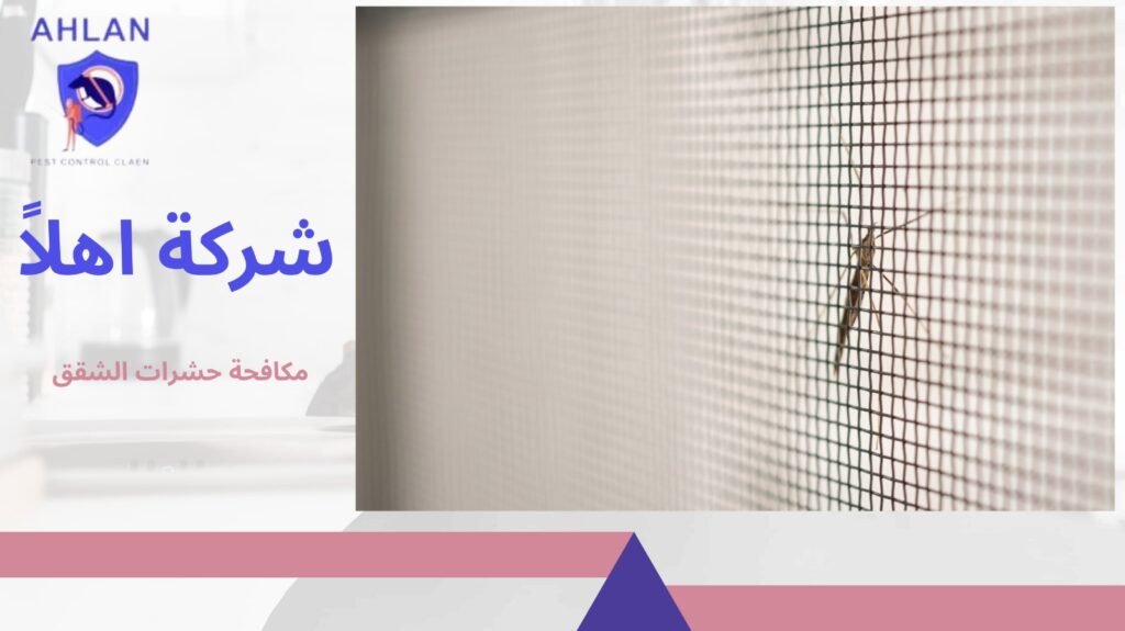 مكافحة حشرات الشقق