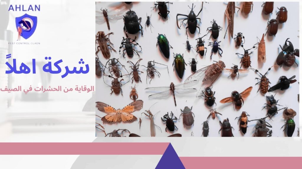 الوقاية من الحشرات في الصيف