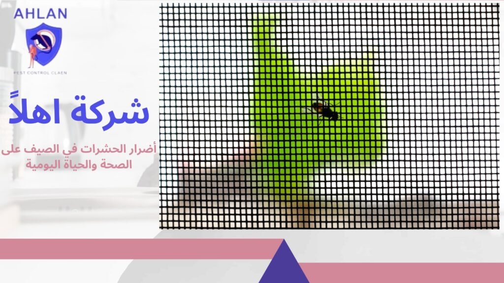الوقاية من الحشرات في الصيف