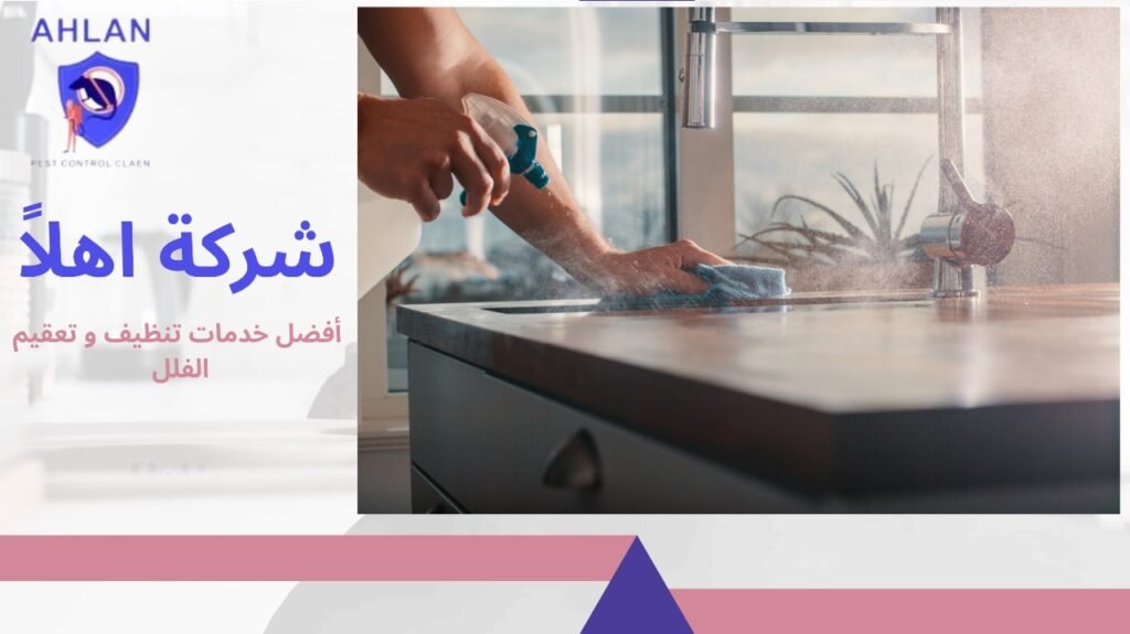 تنظيف وتعقيم الفلل