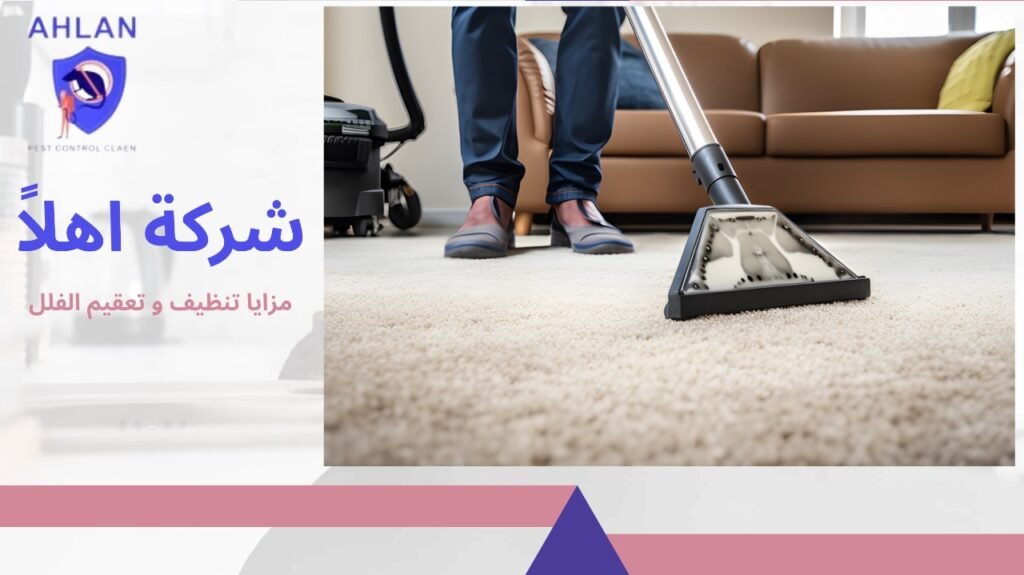تنظيف وتعقيم الفلل