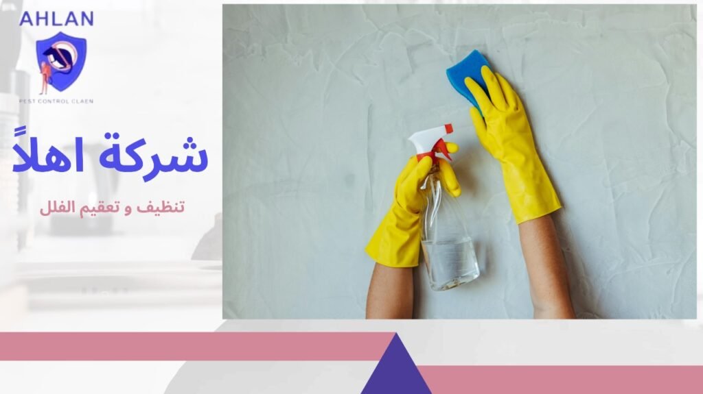 تنظيف وتعقيم الفلل