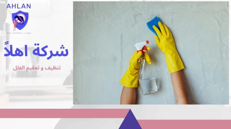 تنظيف وتعقيم الفلل
