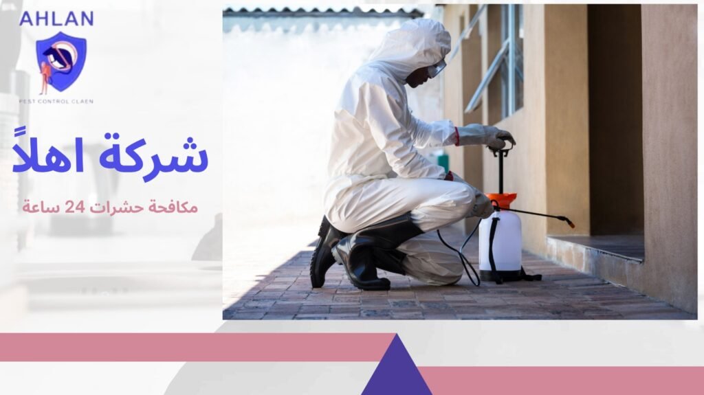 مكافحة حشرات 24 ساعة