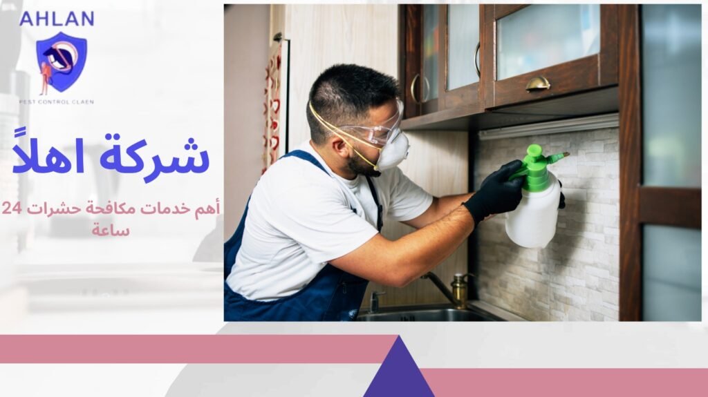 مكافحة حشرات 24 ساعة