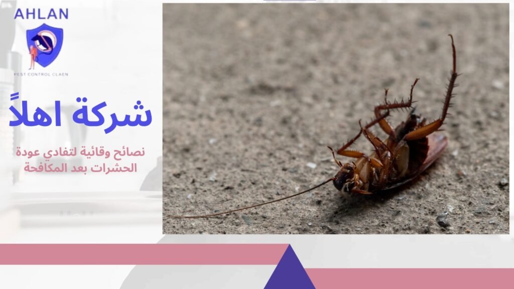 مكافحة حشرات 24 ساعة