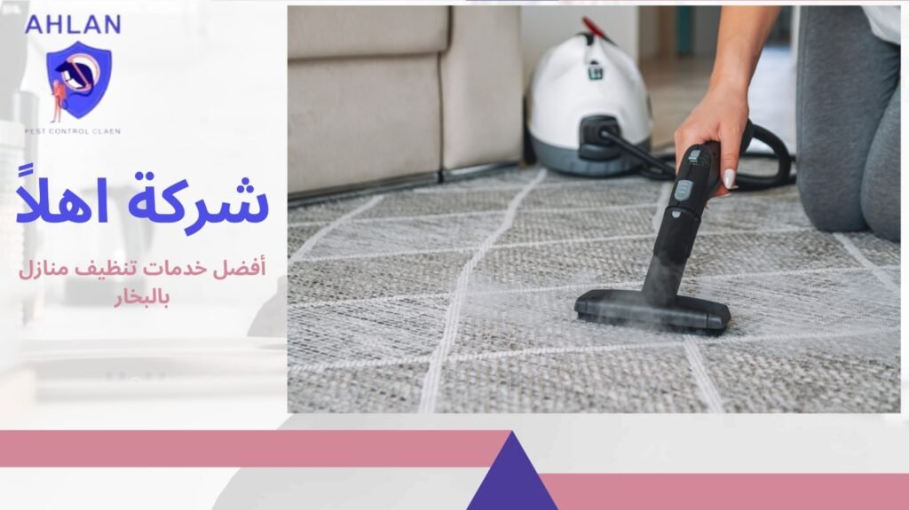 تنظيف منازل بالبخار