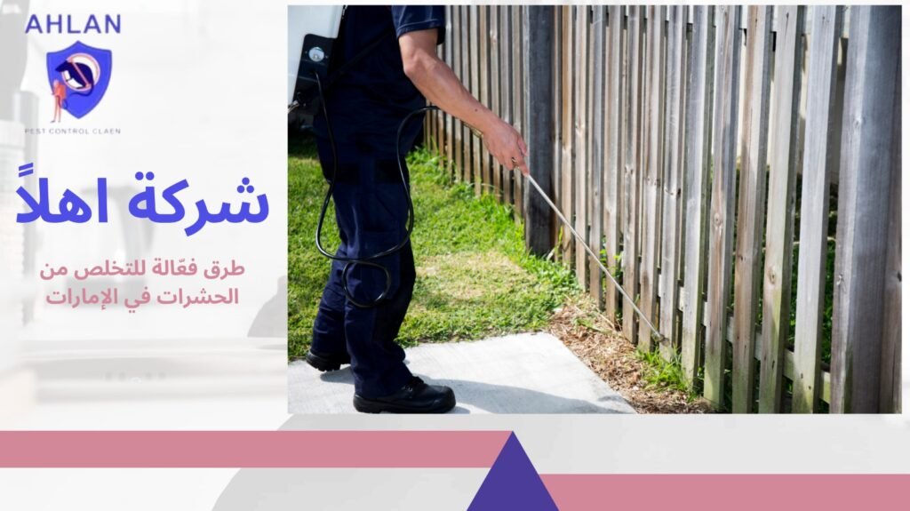 مكافحة حشرات في الإمارات