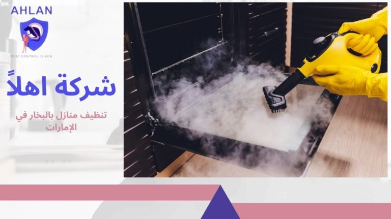 تنظيف منازل بالبخار في الإمارات