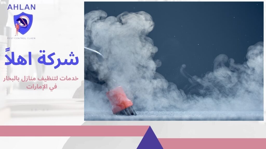 تنظيف منازل بالبخار في الإمارات