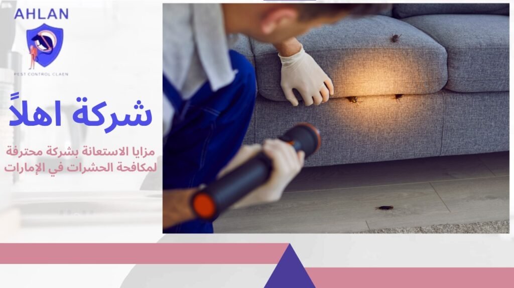 شركة مكافحة حشرات في الإمارات