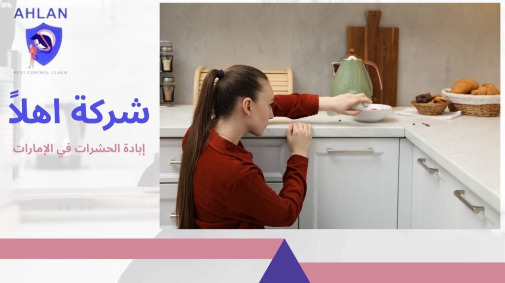 إبادة الحشرات في الإمارات