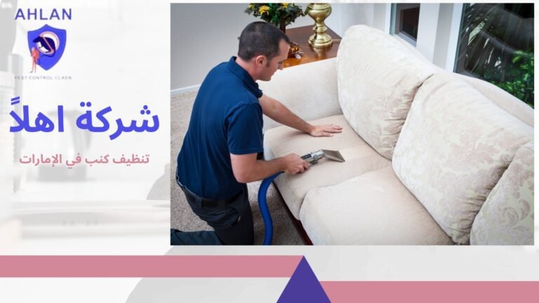 تنظيف كنب في الإمارات