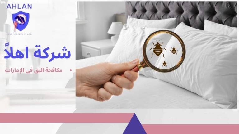 مكافحة البق في الإمارات