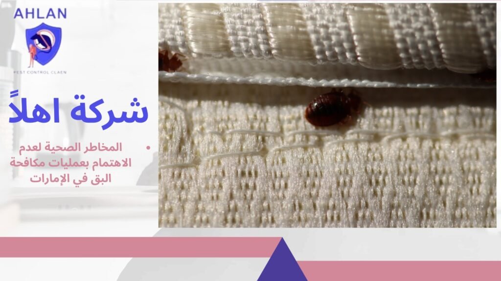 مكافحة البق في الإمارات