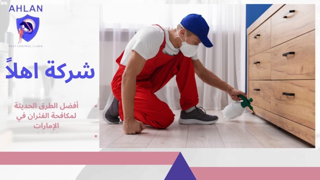 مكافحة الفئران في الإمارات